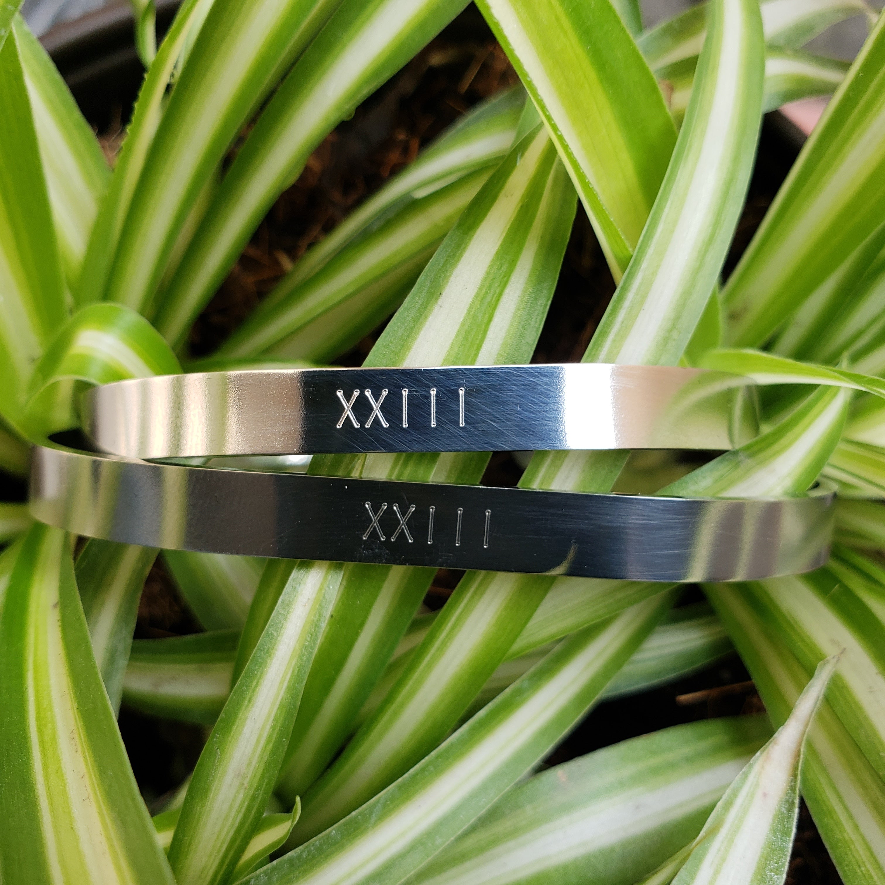 Brazalete de acero inoxidable (2 x $700)