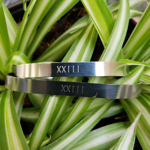 Brazalete de acero inoxidable (2 x $700)